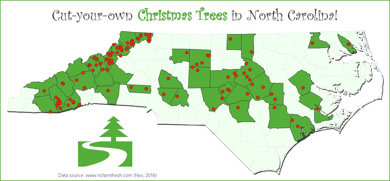 cut your own xmas tree in nc